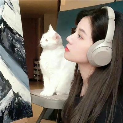 灰姑娘的故事3