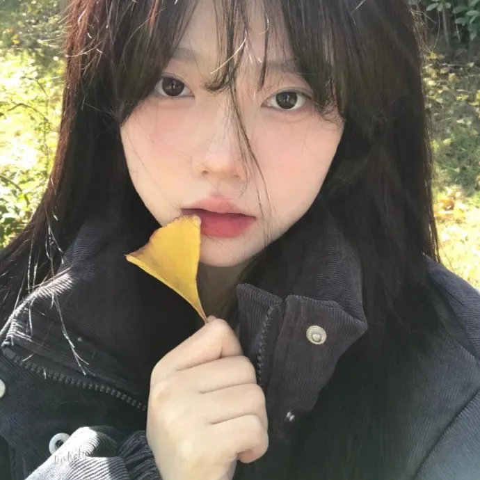 山村会计